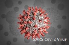 SARS-Cov-2 Virus - infectious.